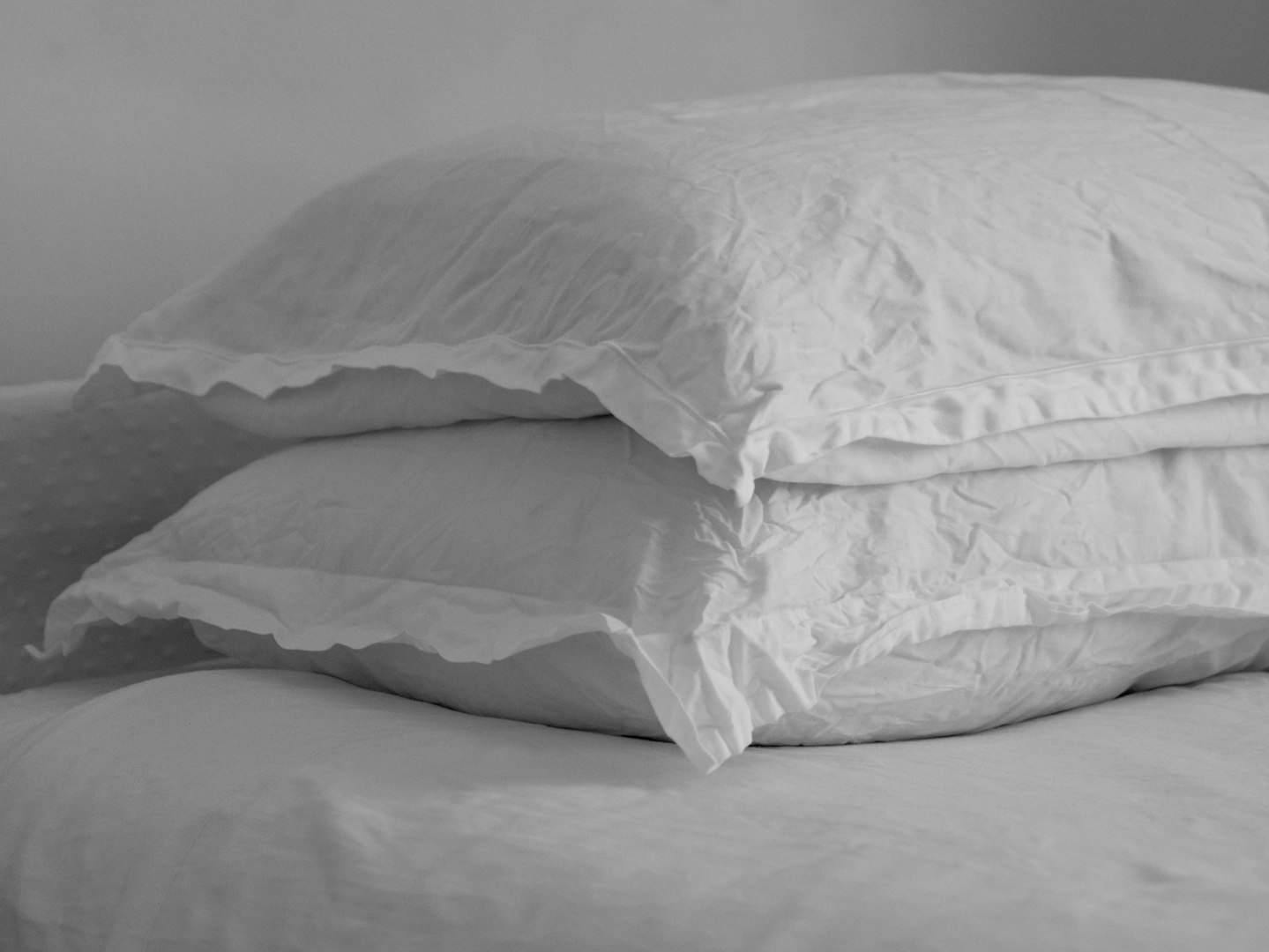 hamvay lang goose down pillow